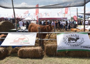 Abre la Expo Agro Ganadera en la Sociedad Rural de Tucumán