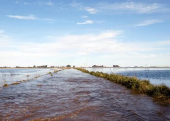 Inundaciones: los excesos de agua ya afectan a 3 millones de hectáreas en Buenos Aires