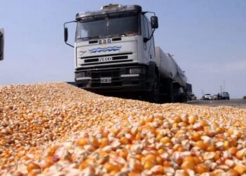Flete sin referencia: ¿oportunidad o amenaza para los productores del NOA?