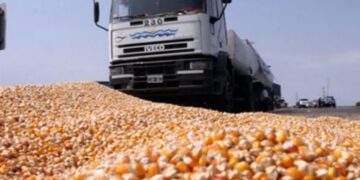 Flete sin referencia: ¿oportunidad o amenaza para los productores del NOA?