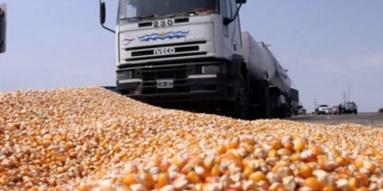 Flete sin referencia: ¿oportunidad o amenaza para los productores del NOA?