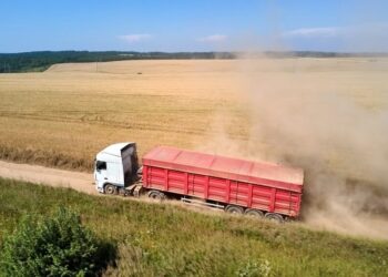 El “costo argentino” que sufre el agro: un flete por camión cuesta 32% más que en Brasil
