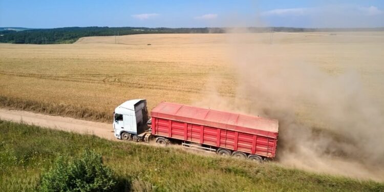 El “costo argentino” que sufre el agro: un flete por camión cuesta 32% más que en Brasil