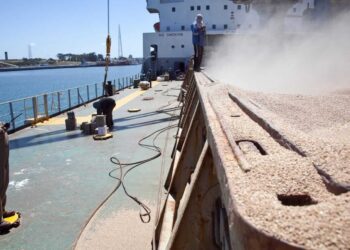 Exportaciones: el Gobierno anunció un “récord histórico” en Declaraciones Juradas