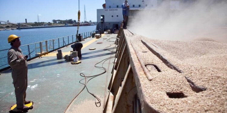 Exportaciones: el Gobierno anunció un “récord histórico” en Declaraciones Juradas