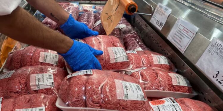 El negocio está en llamas y espera más exportaciones de carne vacuna desde la Argentina