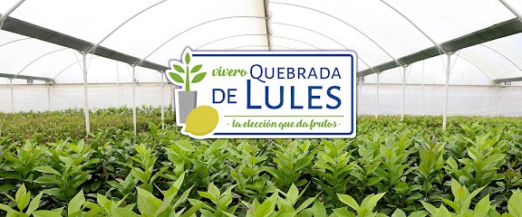Desde el vivero al campo: la importancia de empezar con plantas de calidad