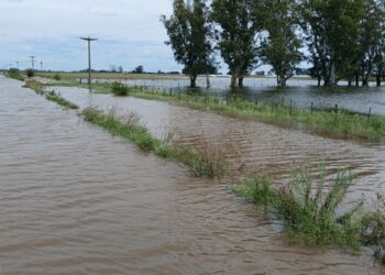Inundaciones: ARCA habilitó beneficios impositivos para productores en emergencia de Buenos Aires