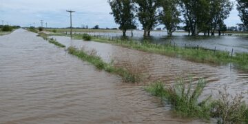 Inundaciones: ARCA habilitó beneficios impositivos para productores en emergencia de Buenos Aires