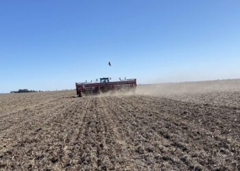 Motor de la economía: el campo invertirá en la siembra 2025/26 casi U$S 14.000 millones