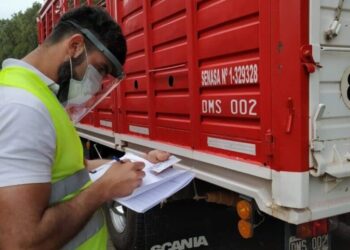 Nueva habilitación para el transporte de animales: la hacienda también viajará en bitrenes