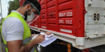 Nueva habilitación para el transporte de animales: la hacienda también viajará en bitrenes