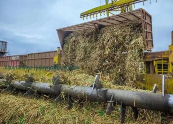 Las fábricas de azúcar de Salta y de Jujuy llevan producidas casi 342.000 toneladas de azúcar