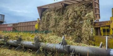 Las fábricas de azúcar de Salta y de Jujuy llevan producidas casi 342.000 toneladas de azúcar