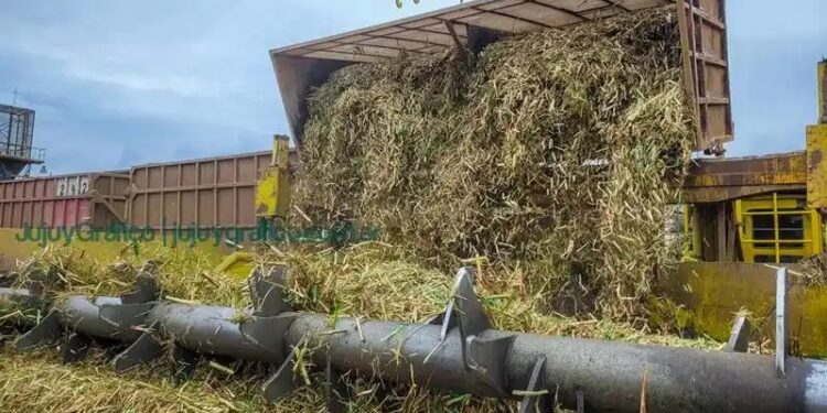 Las fábricas de azúcar de Salta y de Jujuy llevan producidas casi 342.000 toneladas de azúcar