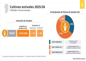 En Córdoba, el maíz recupera terreno