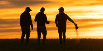 El campo, con reparos ante la baja de retenciones: “Una medida temporaria no incentiva más producción”