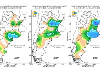 El invierno le dejó paso a la primavera con más lluvias y los suelos siguen saturados en Buenos Aires