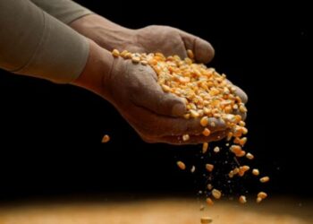 A China ya no le interesa comprar cereales