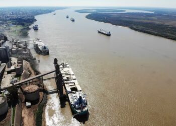 Relevamiento: siete exportadores se quedaron con el 86% del negocio de las retenciones a cero