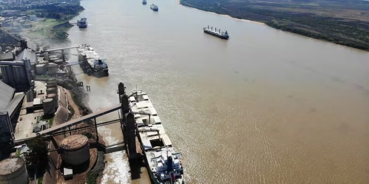 Relevamiento: siete exportadores se quedaron con el 86% del negocio de las retenciones a cero