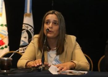Retenciones: “Las medidas transitorias no dan previsibilidad al productor para invertir en la próxima cosecha”