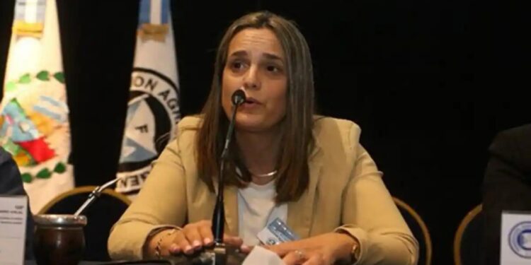 Retenciones: “Las medidas transitorias no dan previsibilidad al productor para invertir en la próxima cosecha”
