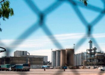El “cramdown” de Vicentin: la primera propuesta de pagos, con un simulador para los acreedores