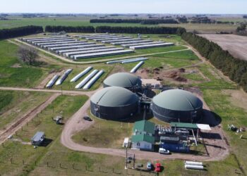 De los efluentes a la energía: el modelo porcino que ilumina a 5.000 personas