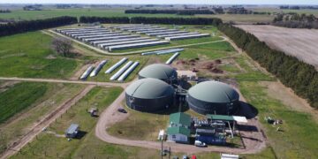 De los efluentes a la energía: el modelo porcino que ilumina a 5.000 personas