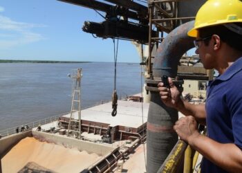 SACU: la región de África que sorprende por su crecimiento dentro de las agroexportaciones argentinas