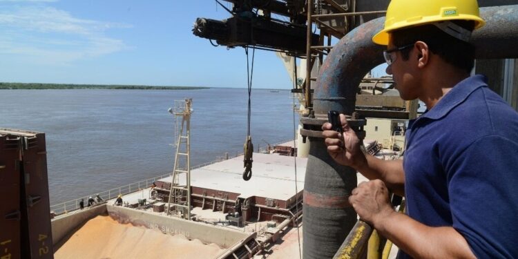 SACU: la región de África que sorprende por su crecimiento dentro de las agroexportaciones argentinas