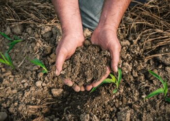 Polémica en el agro bonaerense por un proyecto de ley que busca regular el uso de suelos