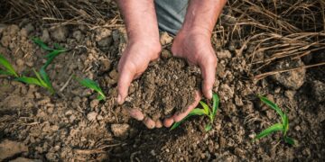 Polémica en el agro bonaerense por un proyecto de ley que busca regular el uso de suelos