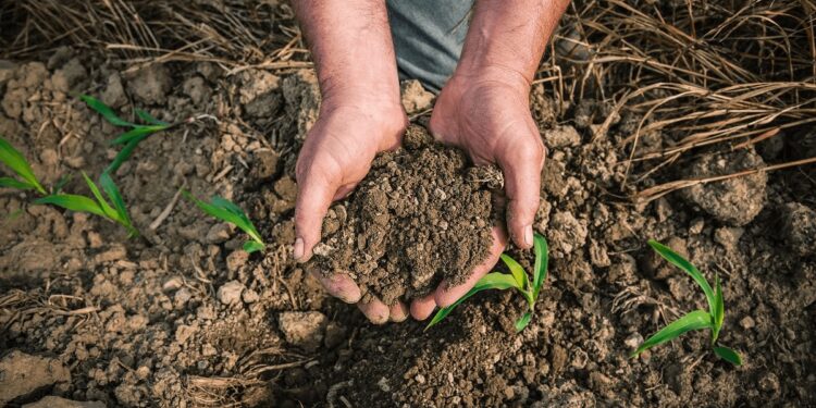 Polémica en el agro bonaerense por un proyecto de ley que busca regular el uso de suelos
