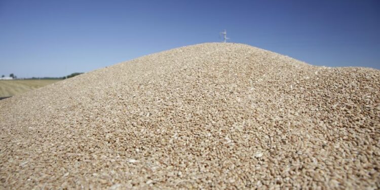 Crecieron 9% en volumen las exportaciones agroindustriales