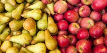 Después de mucho tiempo, hay más economías regionales en verde que en rojo