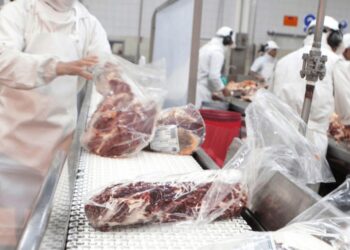 Como en la Patagonia: el NOA se abre paso por la Cordillera para llegar con su carne a Chile