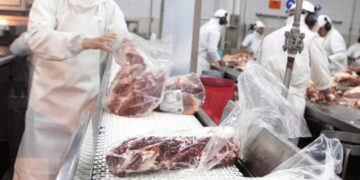 Como en la Patagonia: el NOA se abre paso por la Cordillera para llegar con su carne a Chile