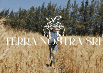 Con raíces en el campo y mirada al futuro: Terra Nostra y el desafío de producir en familia