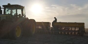 Soja 2025/26: la primera proyección de siembra del Gobierno marca 500.000 hectáreas menos
