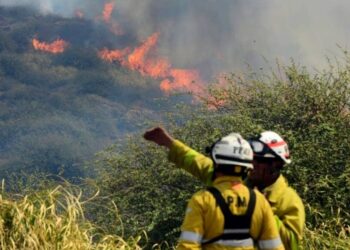 Córdoba vuelve a sufrir incendios en primavera y la Sociedad Rural realizó un fuerte reclamo