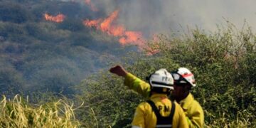 Córdoba vuelve a sufrir incendios en primavera y la Sociedad Rural realizó un fuerte reclamo