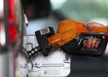 El pobre presente del negocio del biodiesel en la Argentina