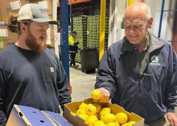 Zamora Citrus: la pyme tucumana que conquistó a Whole Foods con su limón orgánico Fair Trade
