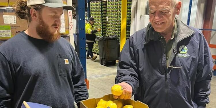 Zamora Citrus: la pyme tucumana que conquistó a Whole Foods con su limón orgánico Fair Trade