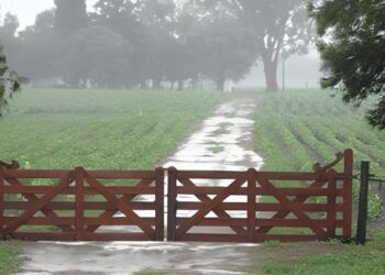 Cayeron más de 100 milímetros en la zona núcleo y siguen los alertas por lluvias intensas