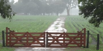 Cayeron más de 100 milímetros en la zona núcleo y siguen los alertas por lluvias intensas