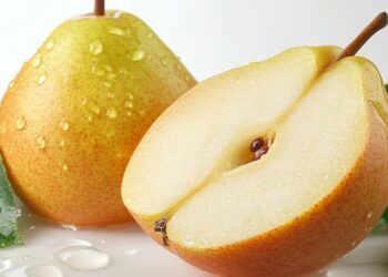 Crece la exportación de frutas argentinas