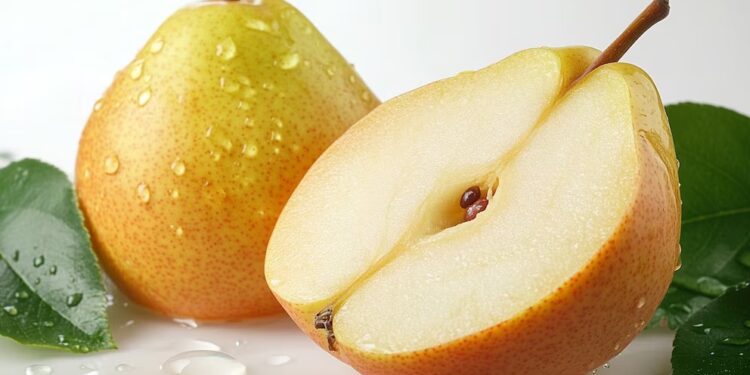 Crece la exportación de frutas argentinas